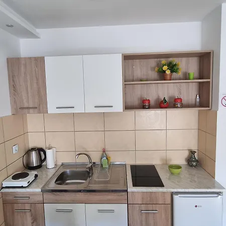 Lejlighed Zvezda Lux