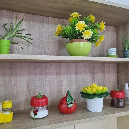 Lejlighed Zvezda Lux Kruševac