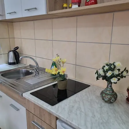 Zvezda Lux Lejlighed *