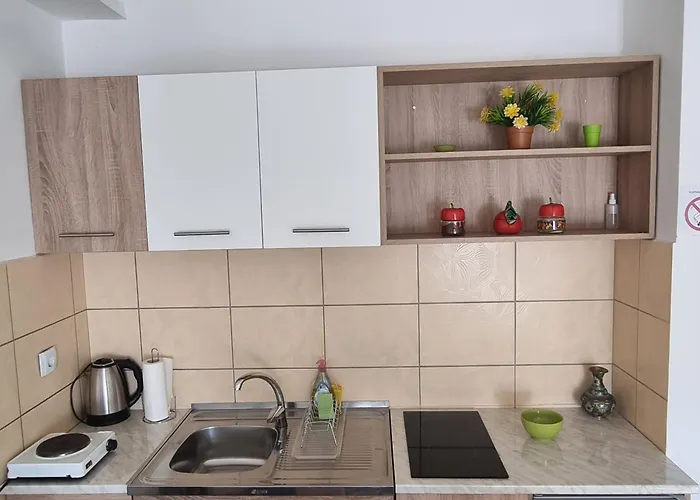 Апартаменты Zvezda Lux