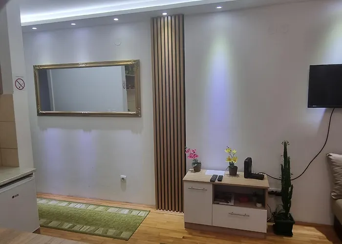 Zvezda Lux 公寓 Kruševac