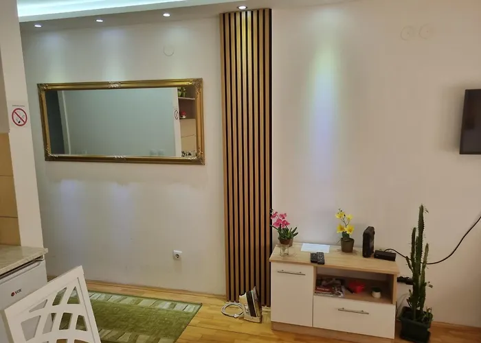 Апартаменты Zvezda Lux