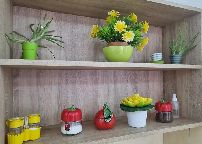 Апартаменты Zvezda Lux Крушевац