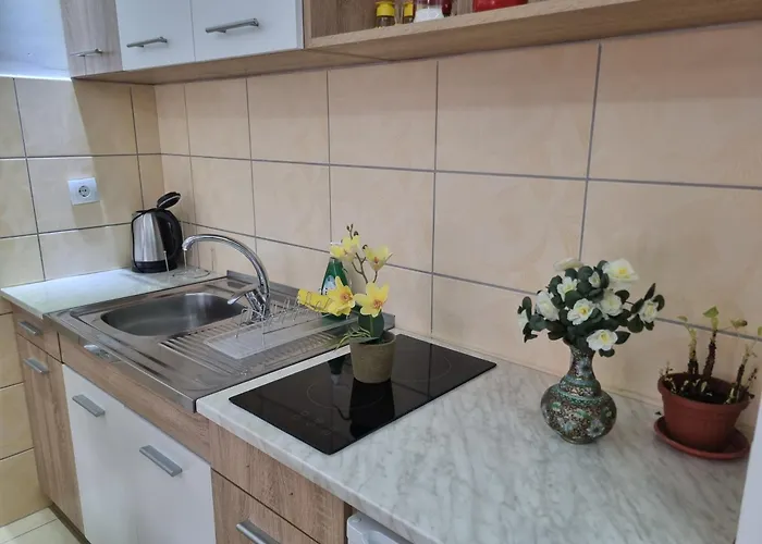 Zvezda Lux Апартаменты *