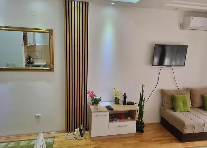 Апартаменты Zvezda Lux *